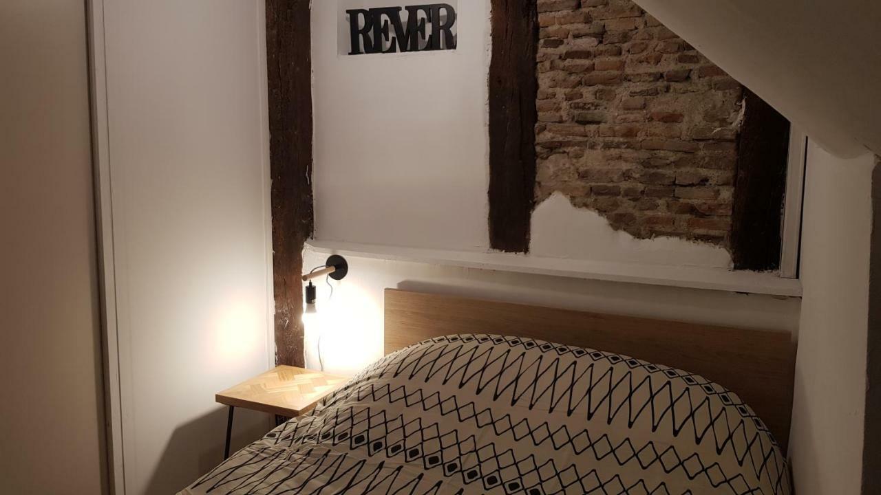 Appartement Avec Cour ★ Spacieux ★ Hyper Centre Castres (Tarn) Exterior foto